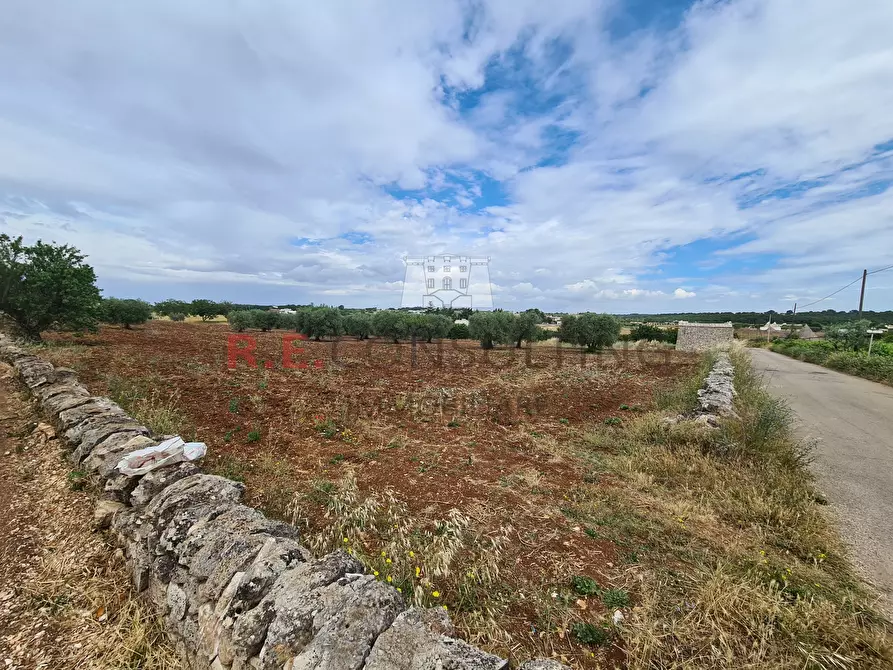 Immagine 13 di Baita in vendita  in Via ospedale a Martina Franca