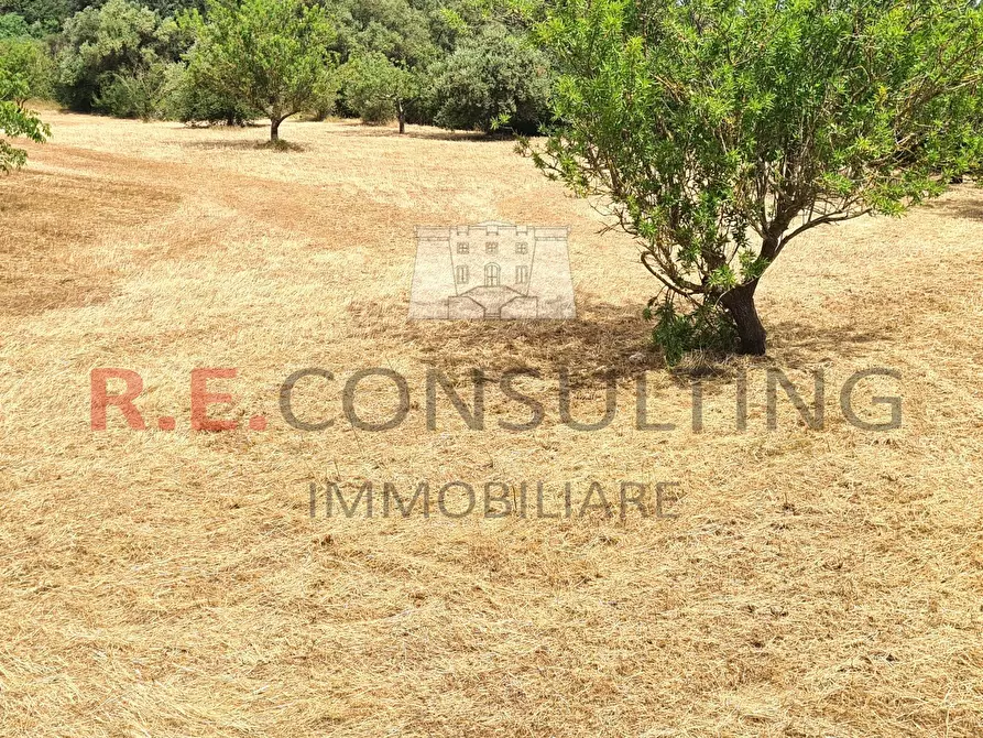 Immagine 15 di Rustico / casale in vendita  a Martina Franca