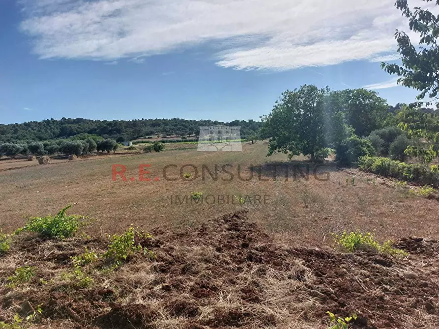 Immagine 7 di Casa indipendente in vendita  in strada sacramento a Ceglie Messapico