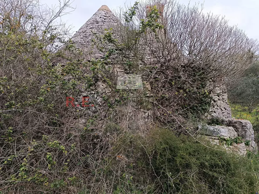 Immagine 1 di Baita in vendita  in strada provinciale 23 a Martina Franca