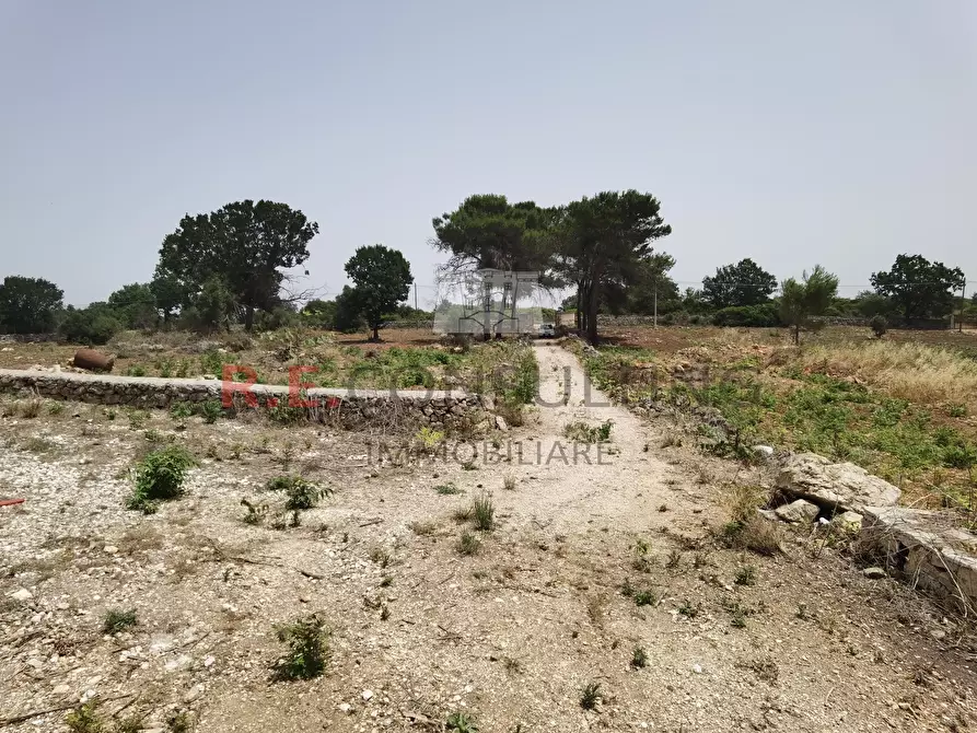 Immagine 22 di Rustico / casale in vendita  in Strada Provinciale 65 52 a Martina Franca