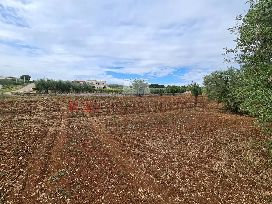 Immagine 14 di Baita in vendita  in Via ospedale a Martina Franca