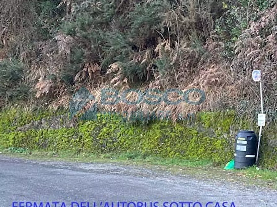 Immagine 4 di Rustico / casale in vendita  in Salita Castello a Beverino