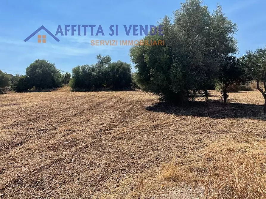 Immagine 14 di Terreno agricolo in vendita  in Traversa Maeggio di Sopra a Siracusa