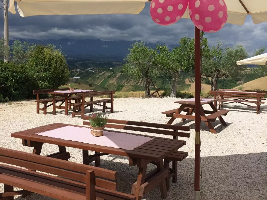 Immagine 11 di Azienda agricola in affitto  a Città Sant'angelo