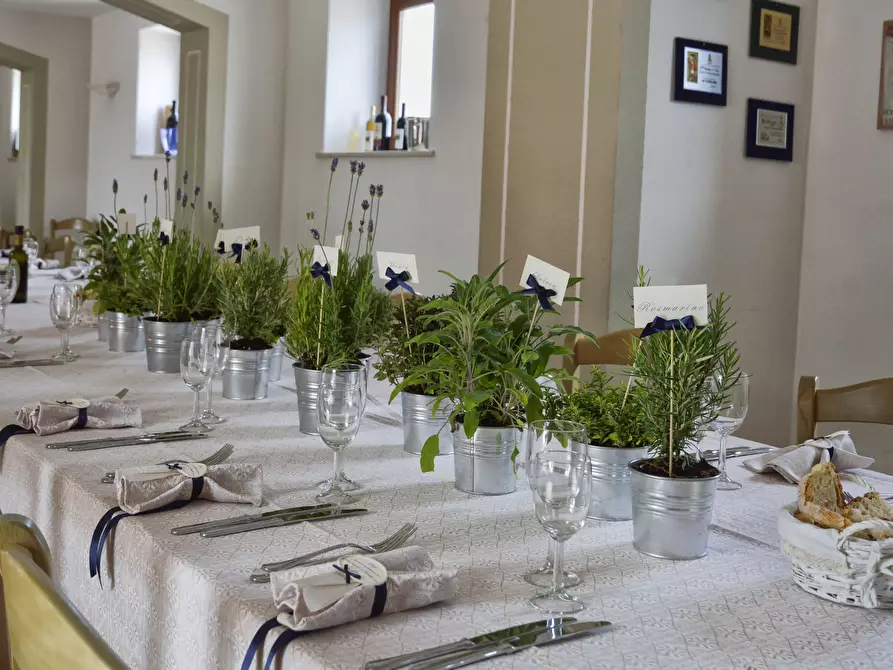 Immagine 12 di Azienda agricola in affitto  a Città Sant'angelo