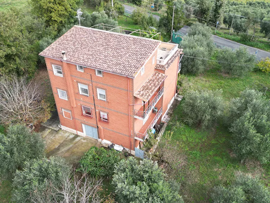 Immagine 3 di Casa indipendente in vendita  a Civitella San Paolo