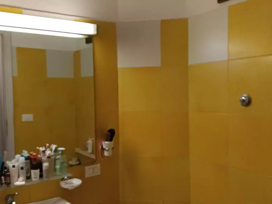 Immagine 13 di Appartamento in vendita  a Pisa