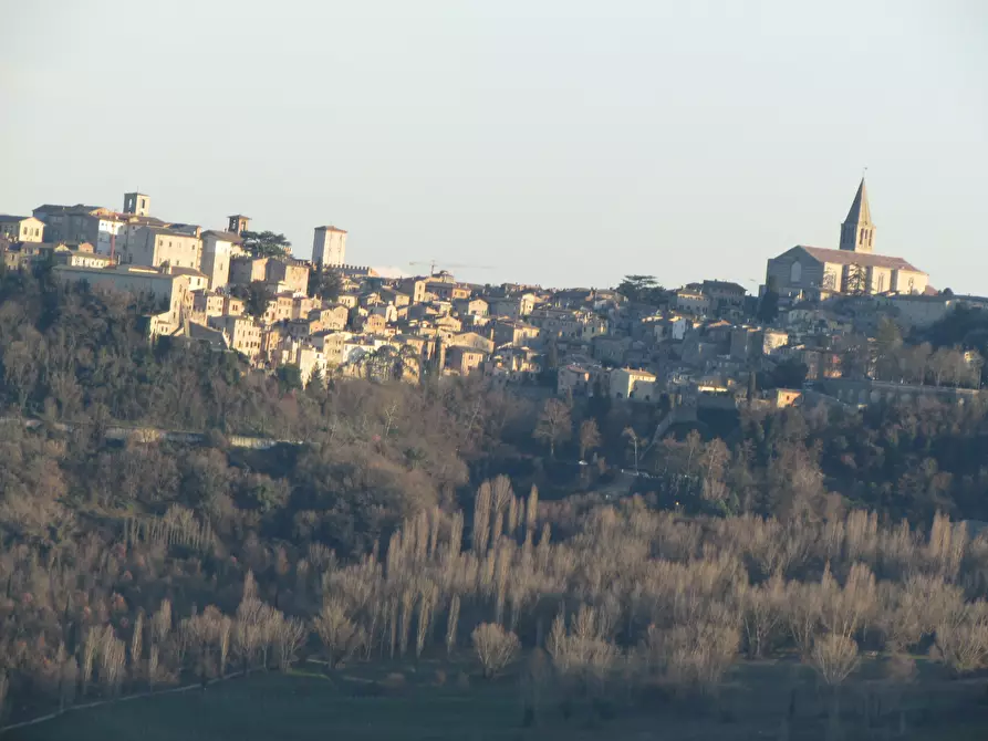 Immagine 10 di Rustico / casale in vendita  a Todi