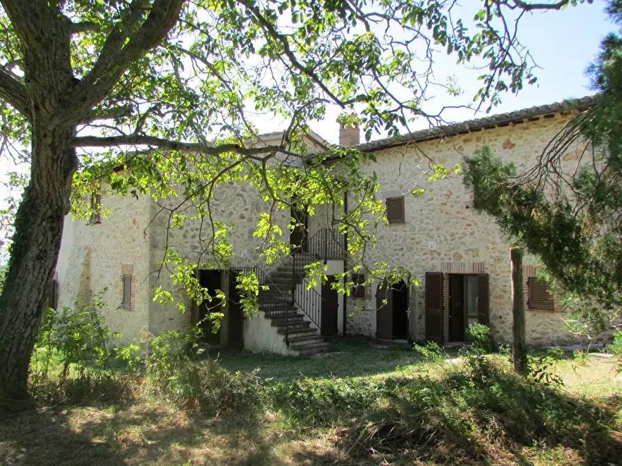Immagine 11 di Porzione di casa in vendita  a Massa Martana