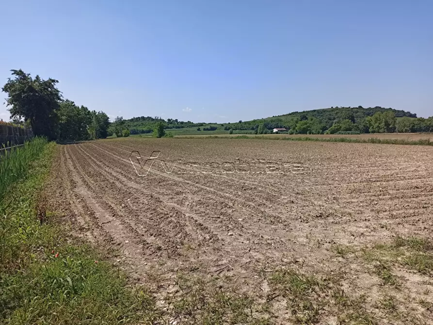 terreno agricolo in vendita a Barbarano Mossano in zona Mossano