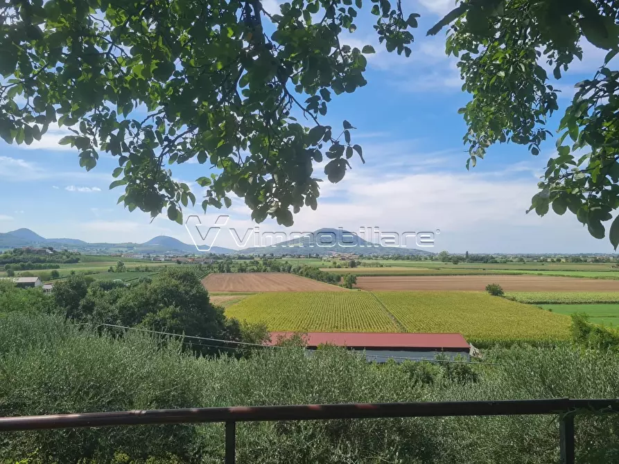 Immagine 24 di Pentalocale in vendita  in Via Tessara 21 a Albettone