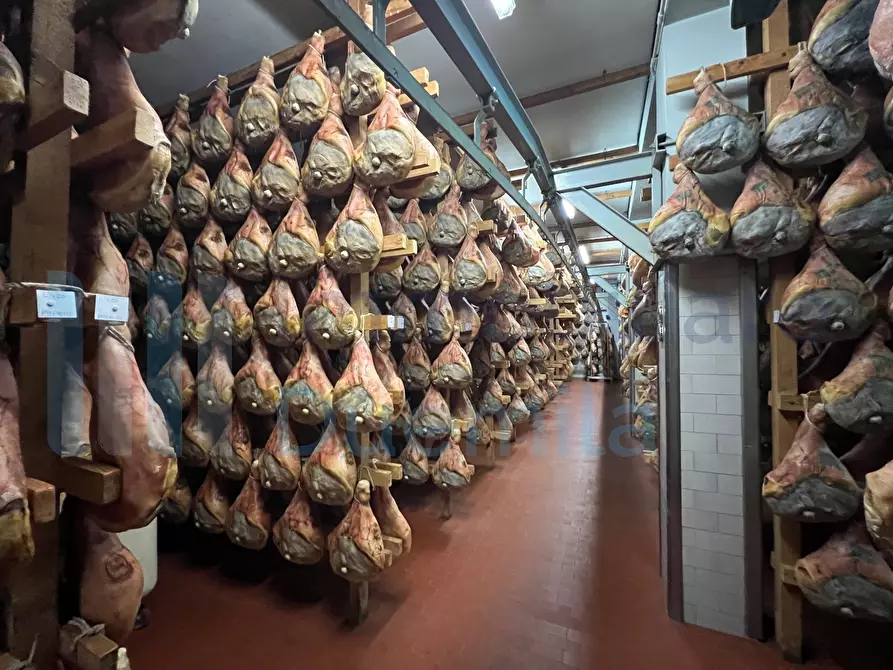 Immagine 54 di Attività artigianale in vendita  a Savignano Sul Panaro