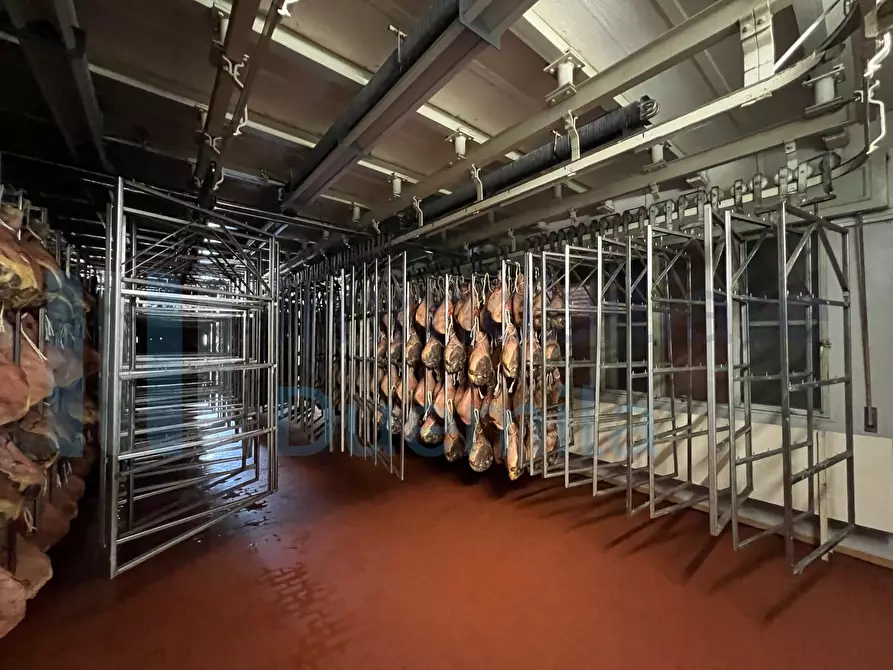 Immagine 24 di Attività artigianale in vendita  a Savignano Sul Panaro