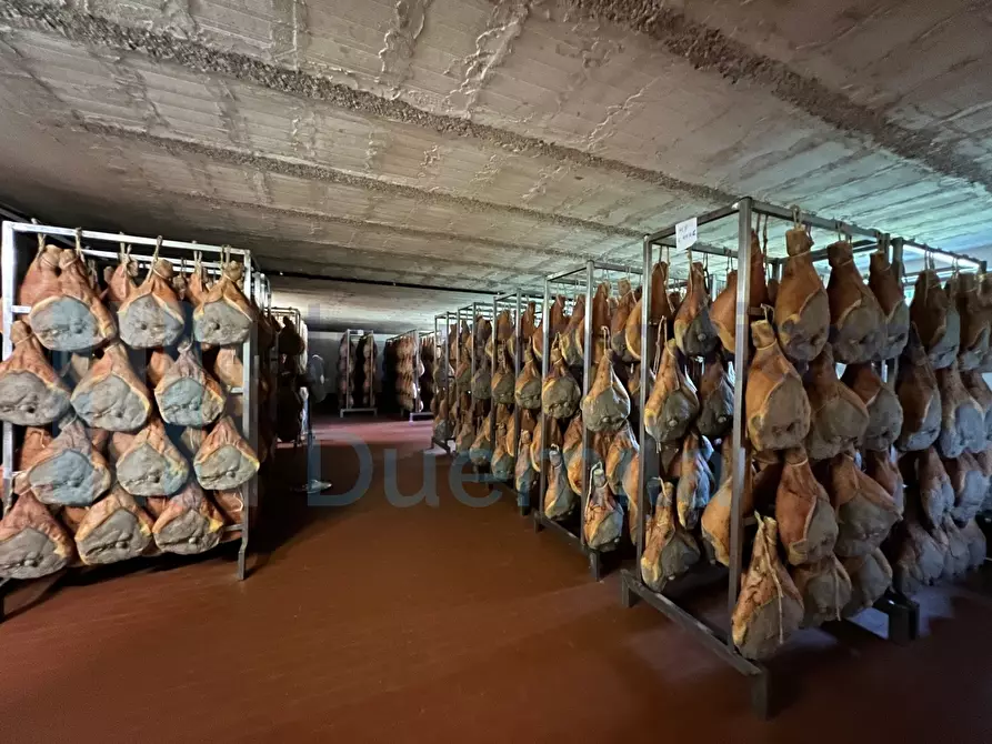 Immagine 69 di Attività artigianale in vendita  a Savignano Sul Panaro