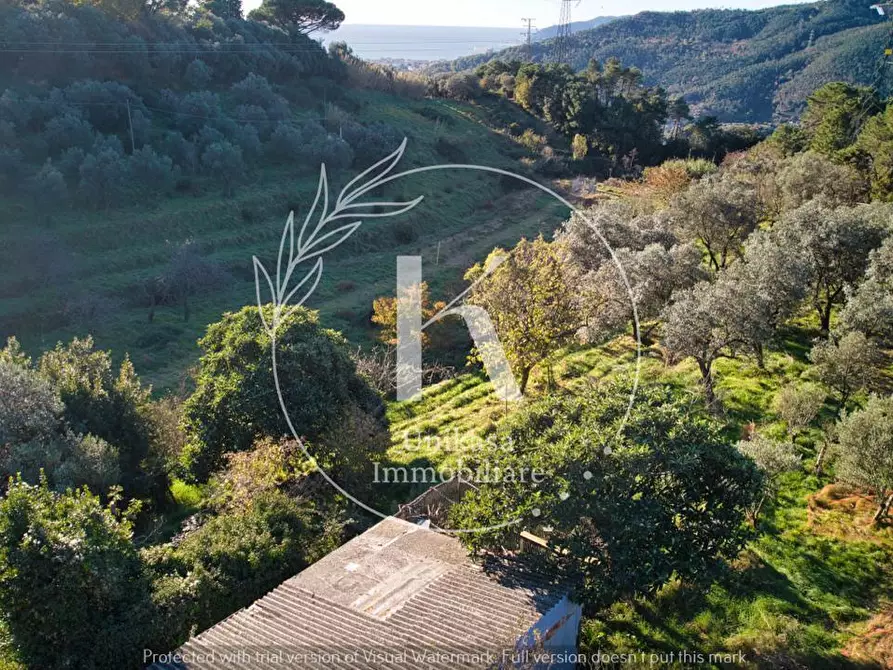 Immagine 6 di Terratetto in vendita  in San Nazario a Savona