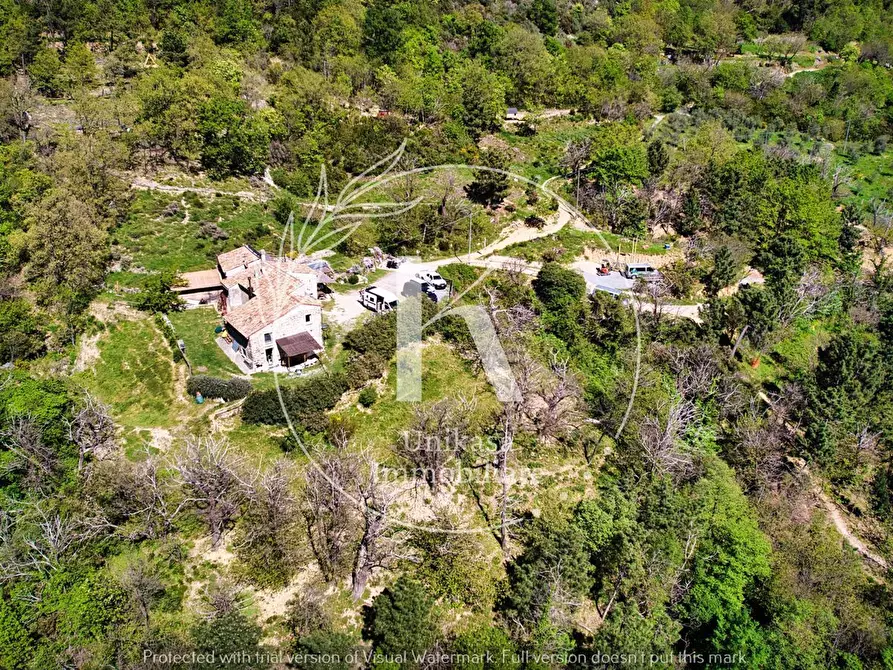 Immagine 36 di Agriturismo in vendita  in Orco Feglino a Orco Feglino