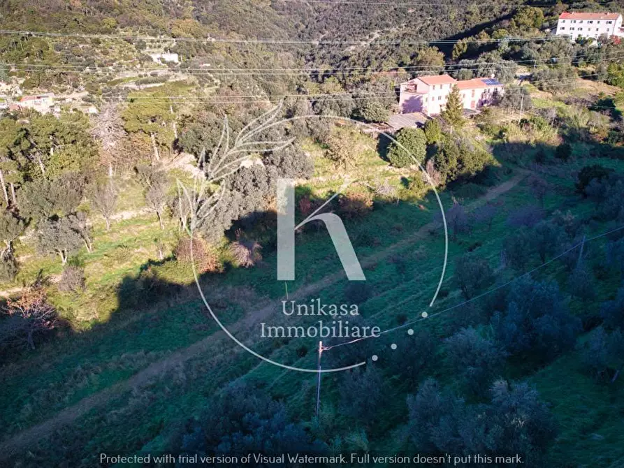 Immagine 7 di Terratetto in vendita  in San Nazario a Savona