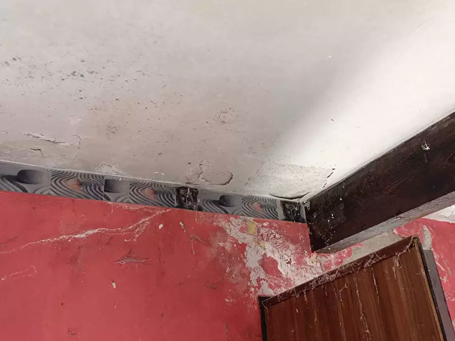 Immagine 28 di Rustico / casale in vendita  in San Bartolomeo del Bosco a Savona