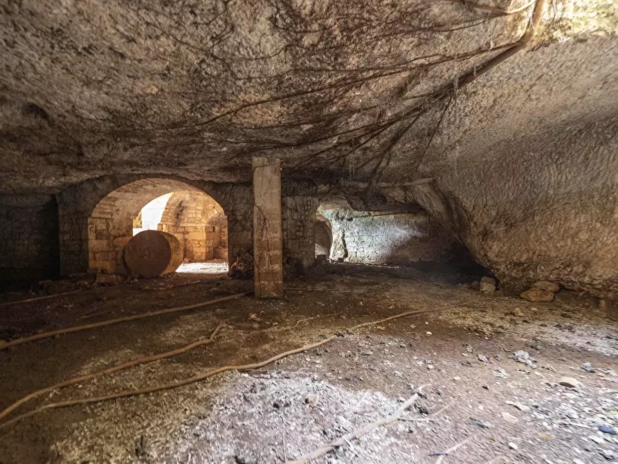 Immagine 37 di Rustico / casale in vendita  a Ostuni