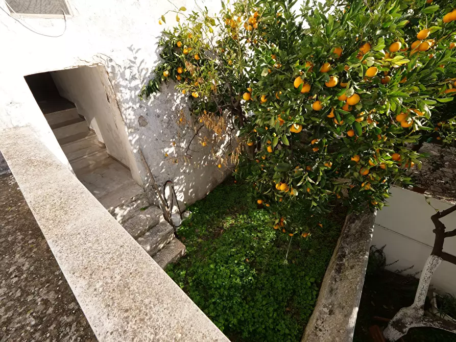 Immagine 25 di Casa indipendente in vendita  in Via Gaspare Petrarolo a Ostuni