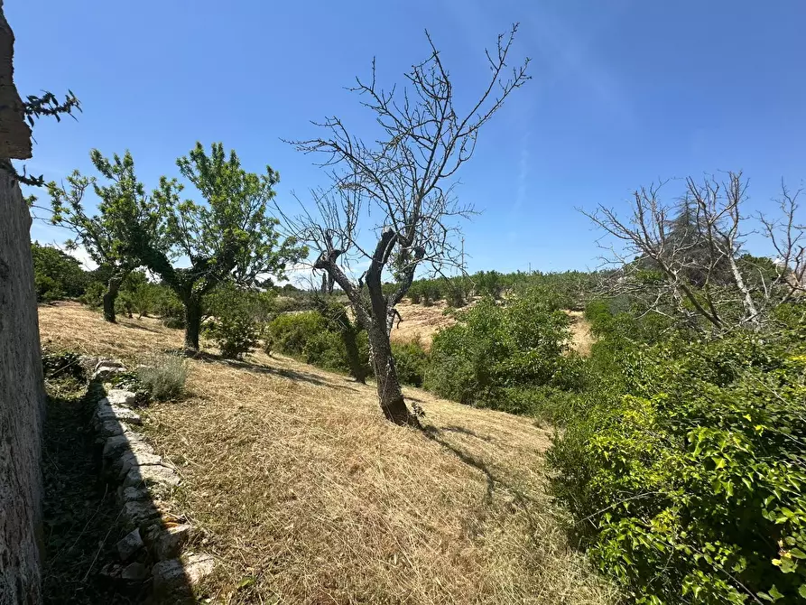 Immagine 23 di Villa in vendita  in Contrada Fantese 38 a Ostuni