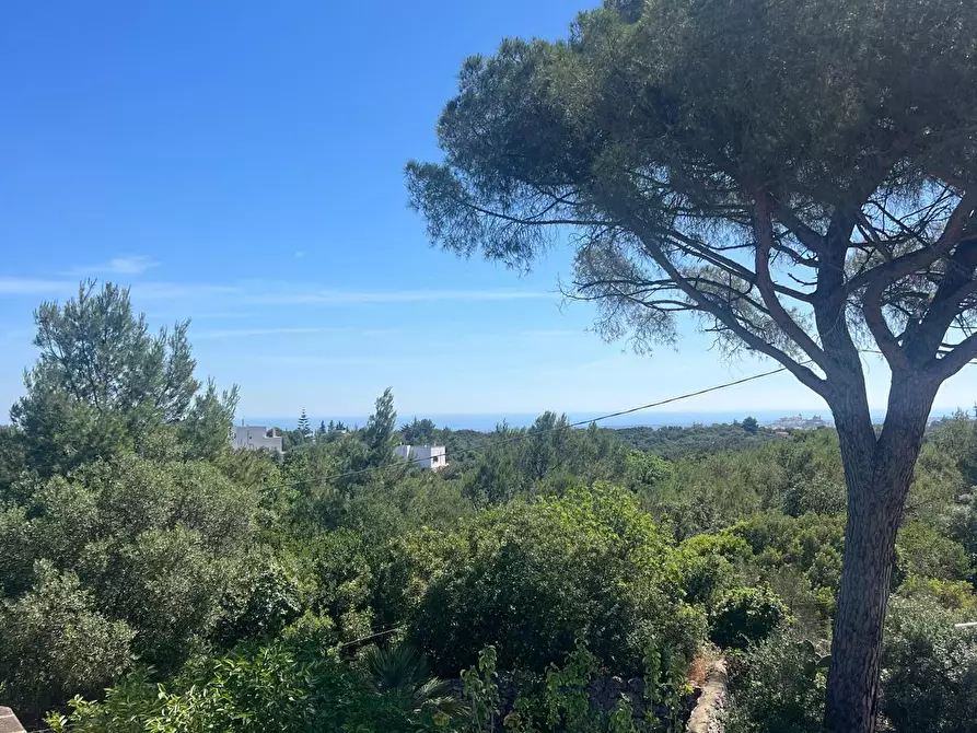Immagine 14 di Villa in vendita  in Strada Provinciale 17 SNC a Ostuni