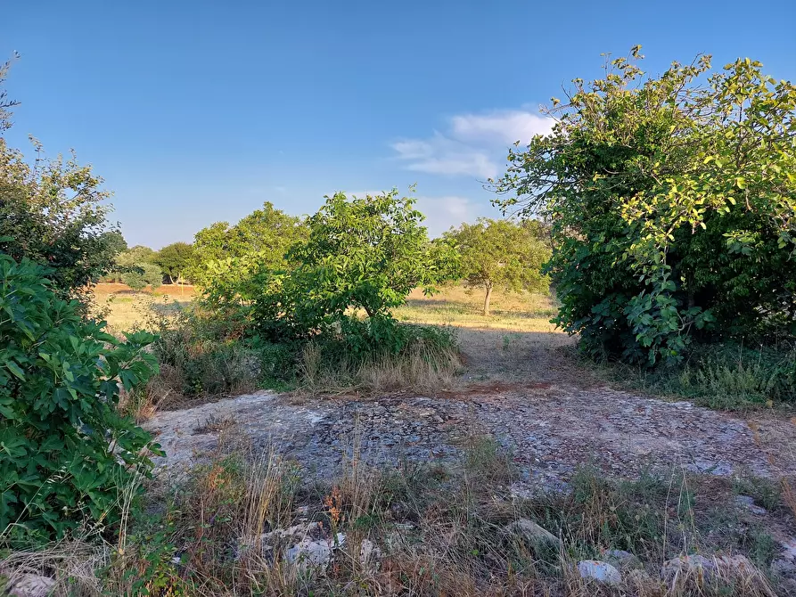 Immagine 38 di Casa indipendente in vendita  in Contrada Panza a Cisternino