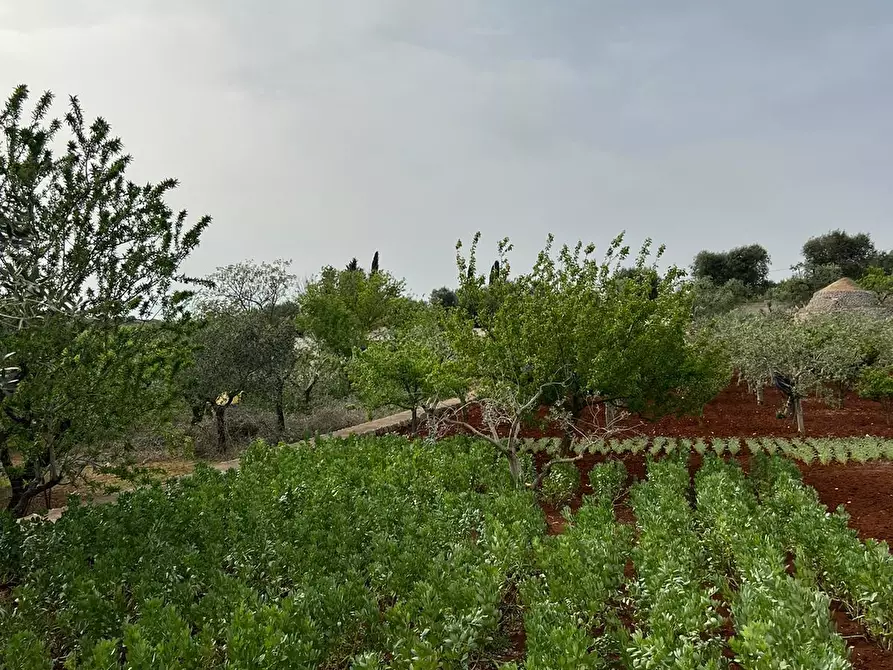 Immagine 33 di Villa in vendita  in Strada Provinciale 22sp 22 a Ostuni