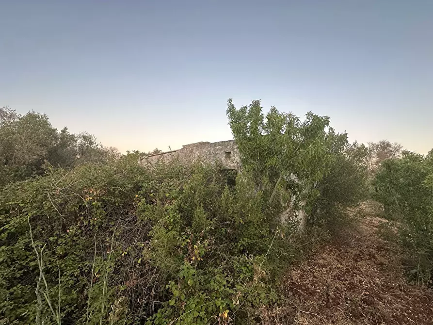 Immagine 6 di Casa indipendente in vendita  in Strada Provinciale 29 a Ostuni