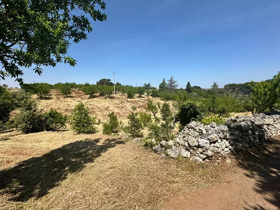 Immagine 20 di Villa in vendita  in Contrada Fantese 38 a Ostuni