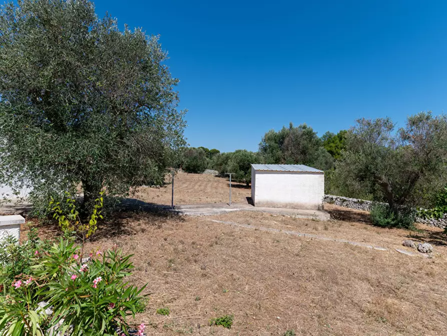 Immagine 37 di Villa in vendita  in contrada san benedetto a Ostuni