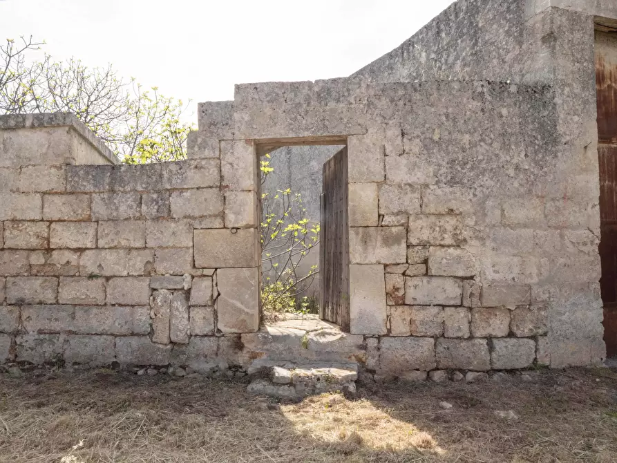 Immagine 3 di Rustico / casale in vendita  a Ostuni
