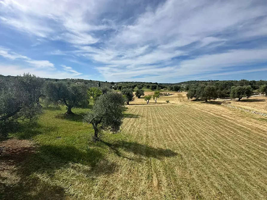 Immagine 21 di Rustico / casale in vendita  in Strada Provinciale 17 a Ostuni