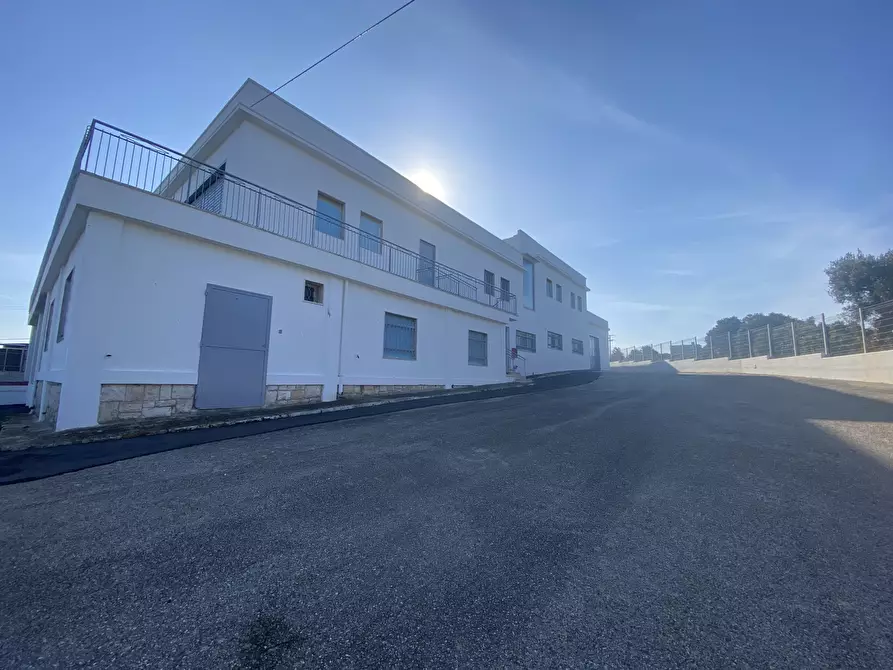 Immagine 5 di Azienda agricola in vendita  in Strada Statale 16 Adriatica 105 a Ostuni