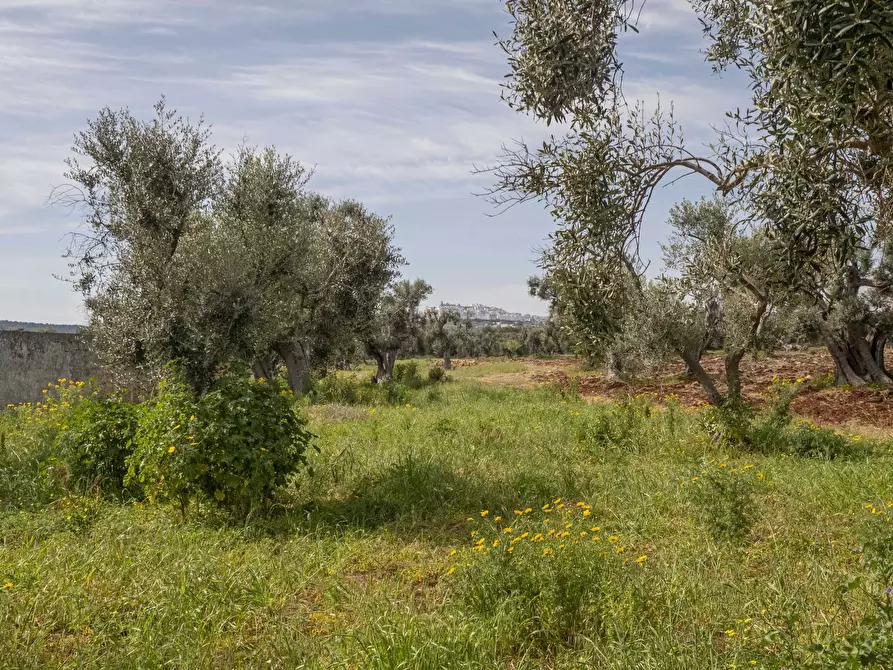Immagine 40 di Rustico / casale in vendita  a Ostuni
