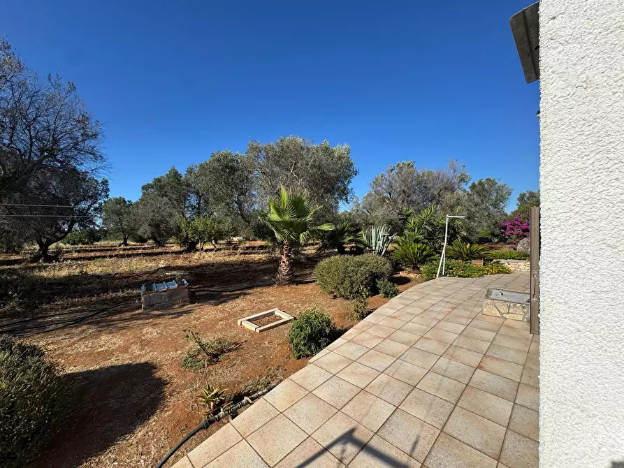 Immagine 18 di Villa in vendita  in Strada Provinciale 29 a Ceglie Messapico