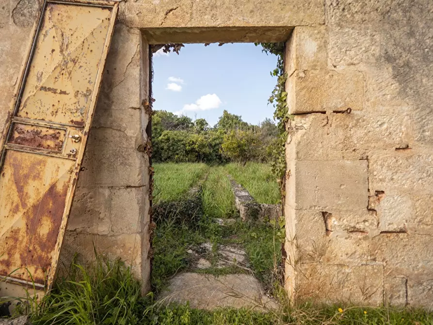 Immagine 5 di Rustico / casale in vendita  in Via Foggia 19 a Ostuni