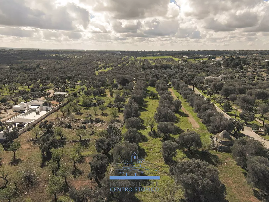 Immagine 5 di Rustico / casale in vendita  a Carovigno