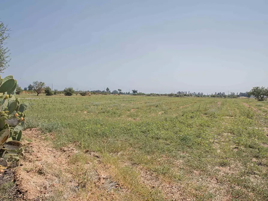 Immagine 26 di Rustico / casale in vendita  in Contrada San Francesco a Carovigno