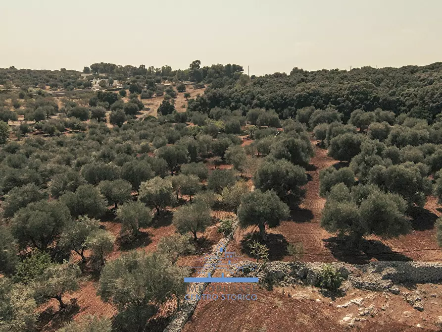 Immagine 52 di Villa in vendita  in CONTRADA VALLEGNA SNC a Ostuni
