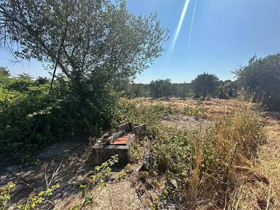 Immagine 20 di Casa indipendente in vendita  in Contrada Galante a Ceglie Messapico