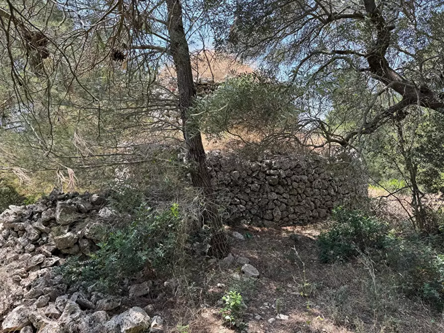 Immagine 32 di Casa indipendente in vendita  in santuario san biagio a Ostuni