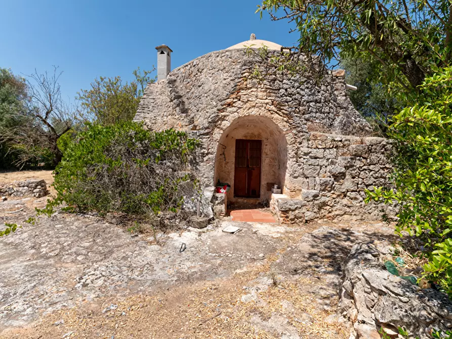 Immagine 23 di Casa indipendente in vendita  in Strada Provinciale 29 a Ostuni