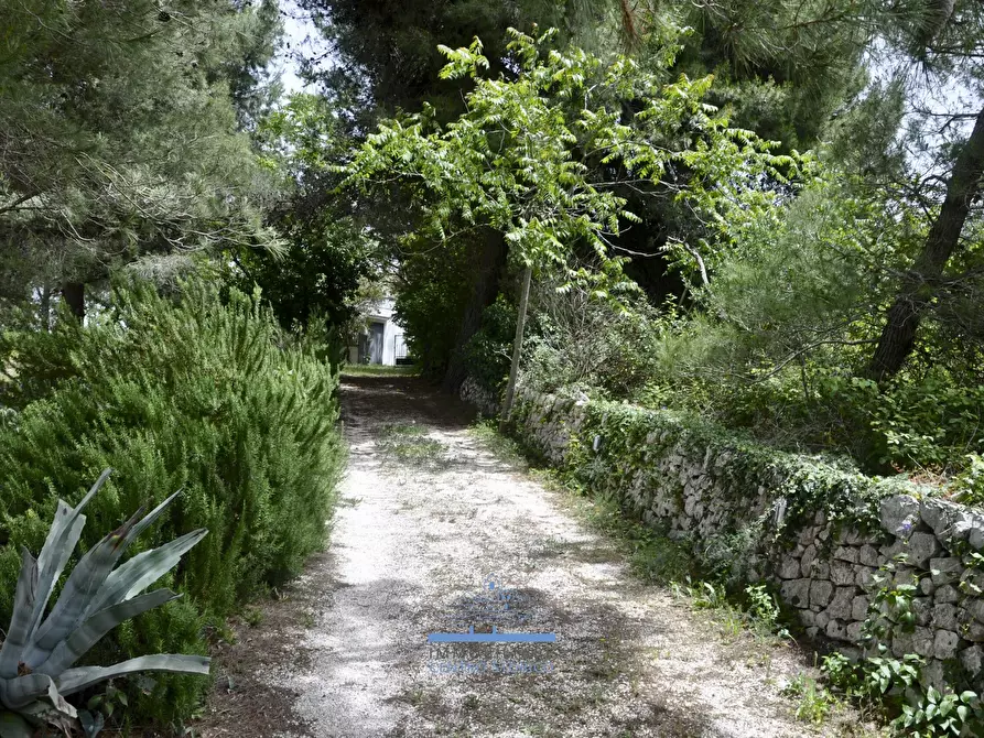 Immagine 11 di Rustico / casale in vendita  in contrada cervarolo a Ostuni