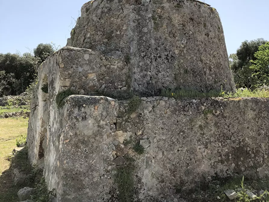 Immagine 3 di Casa indipendente in vendita  in Contrada Malandrino a Ostuni