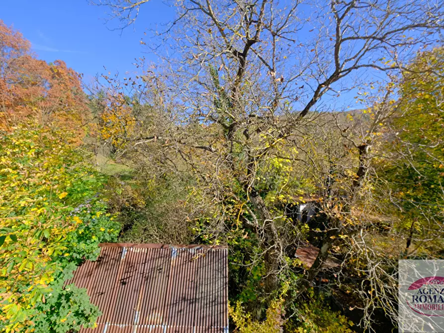 Immagine 18 di Casa indipendente in vendita  a Urbe