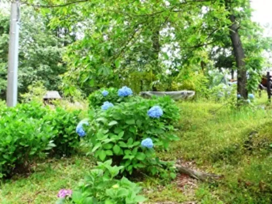 Immagine 17 di Appartamento in vendita  a Urbe