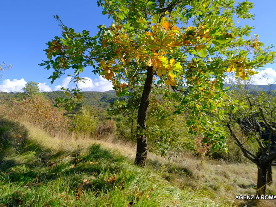 Immagine 24 di Rustico / casale in vendita  in SP7 10 a Sassello