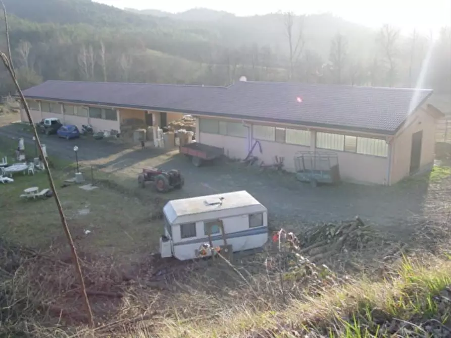 Immagine 2 di Agriturismo in vendita  a Pareto